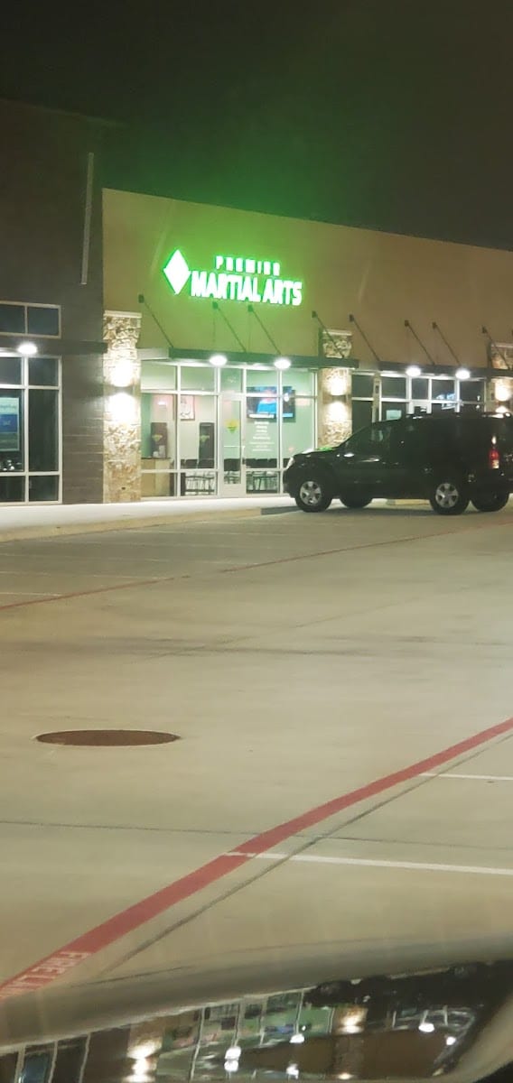 Premier Martial Arts Lewisville/Castle Hills