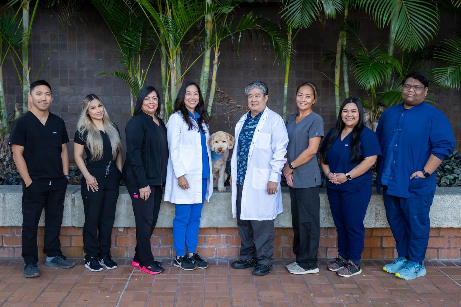 Pacific Dental Studio, photo 2