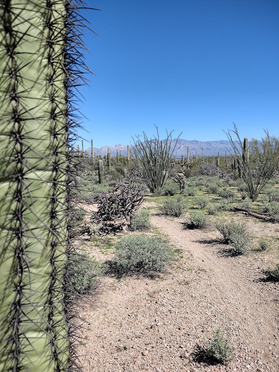 Greasewood Park, photo 3