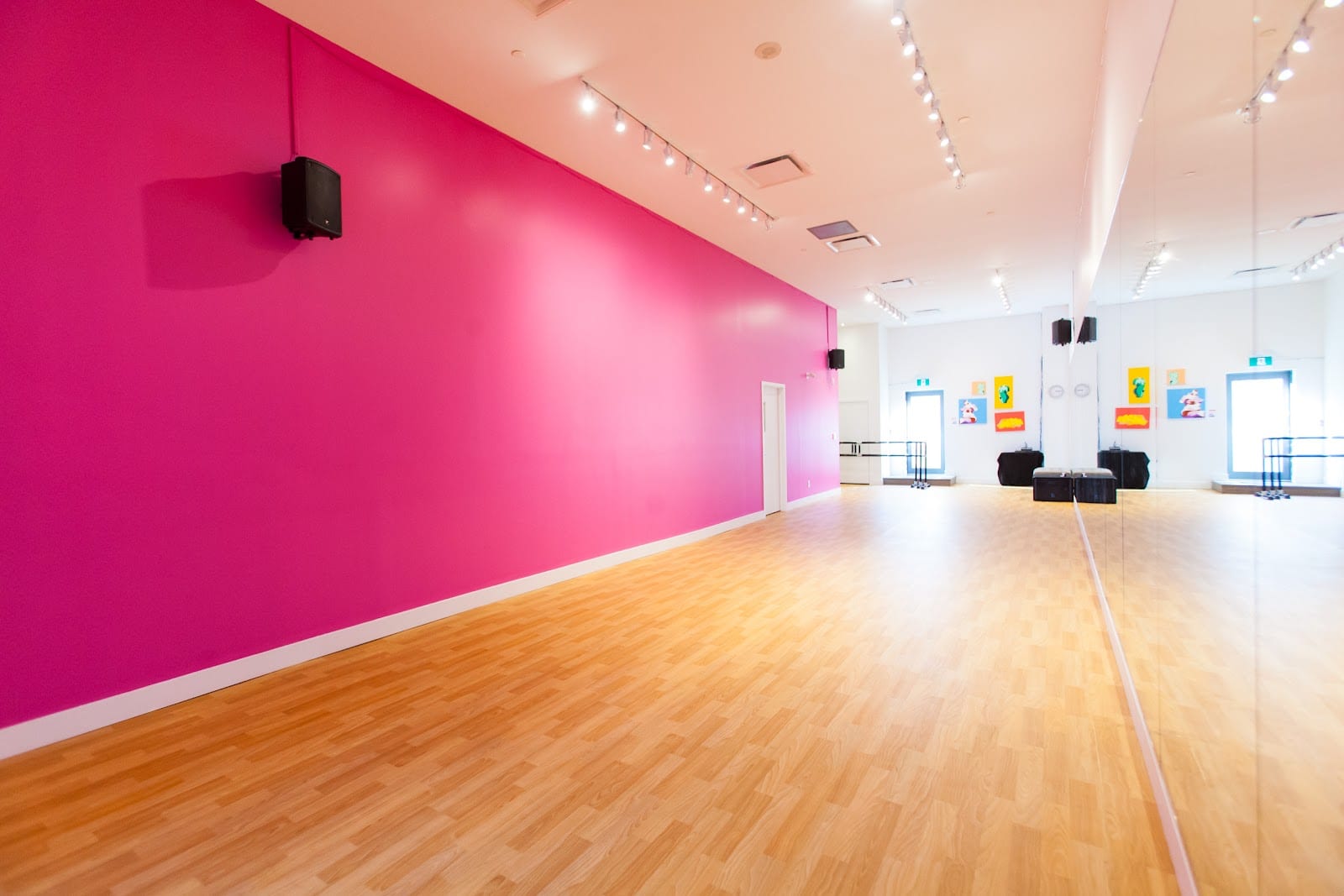 The Pink Studio - Dance + Fitness