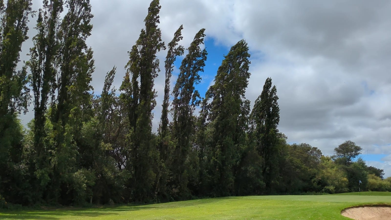 Napa Golf Course, photo 2