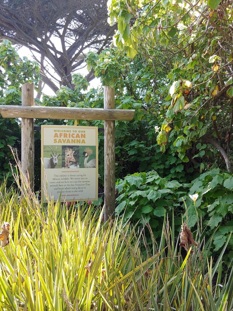 Guest Services, photo 2