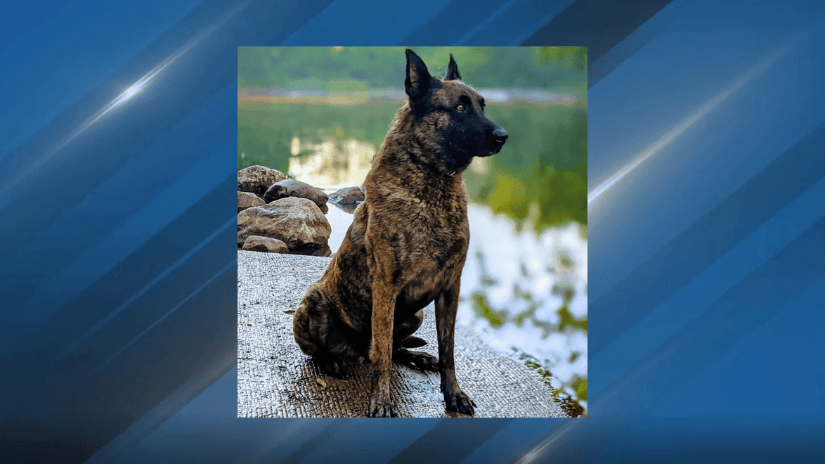 Retired Police K9 Tuco Remembered Across Calhoun County