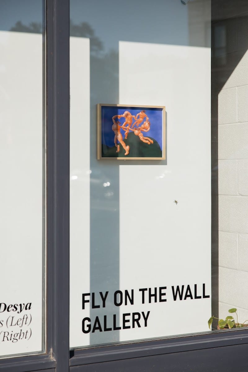 Fly on the Wall Gallery