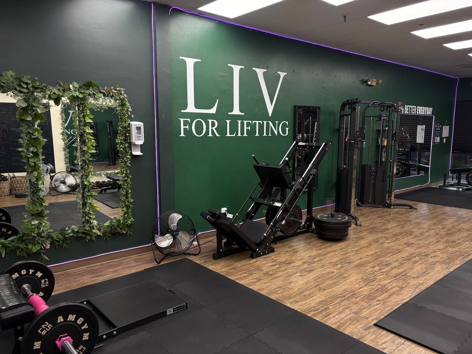 Liv for Lifting, photo 2