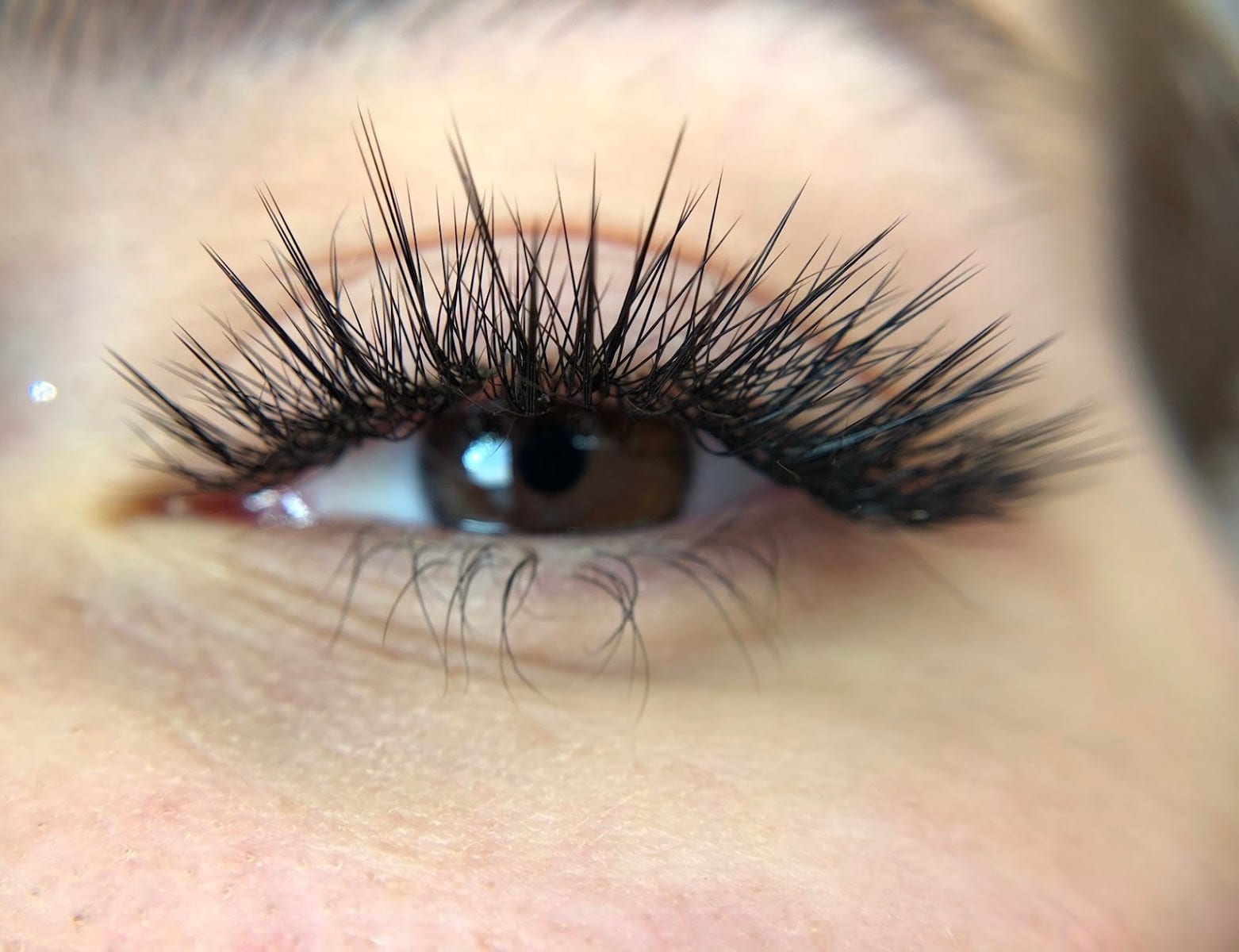 Eyebrow Threading & Lash Studio by Aida Beauty