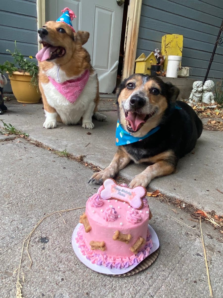 Unleashed Dog Bakery, photo 4