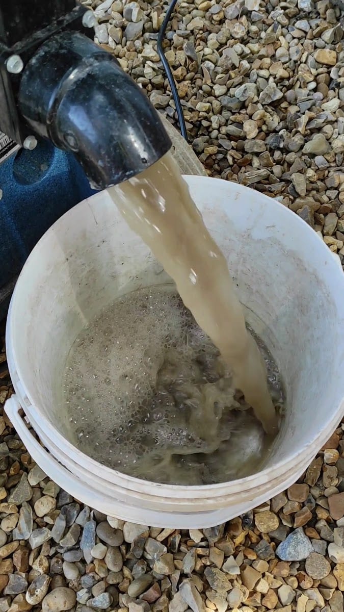 Mr Sanders - Professional Carpet & Upholstery Cleaning Norwich, photo 3