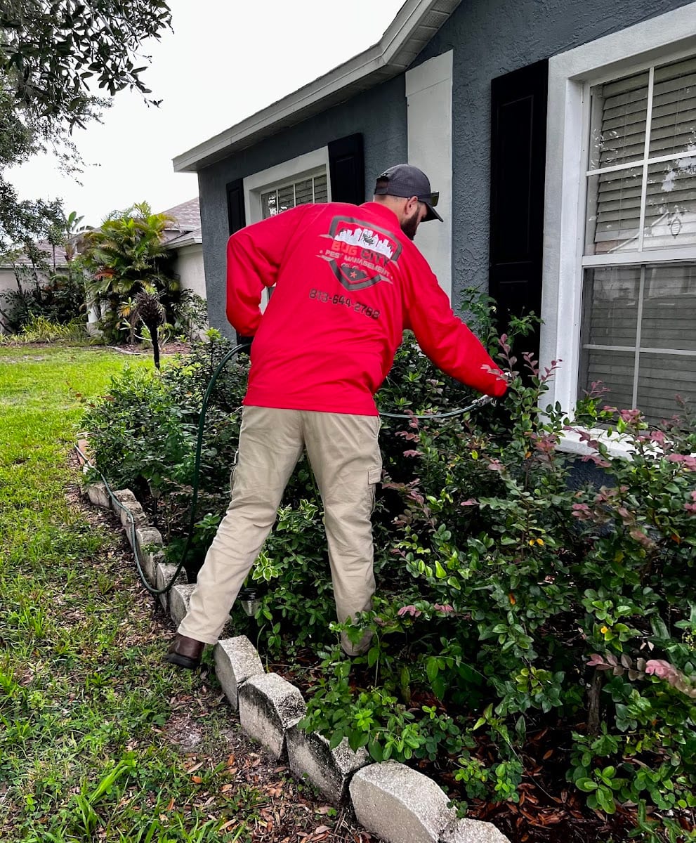 Bug City Pest Management, photo 2