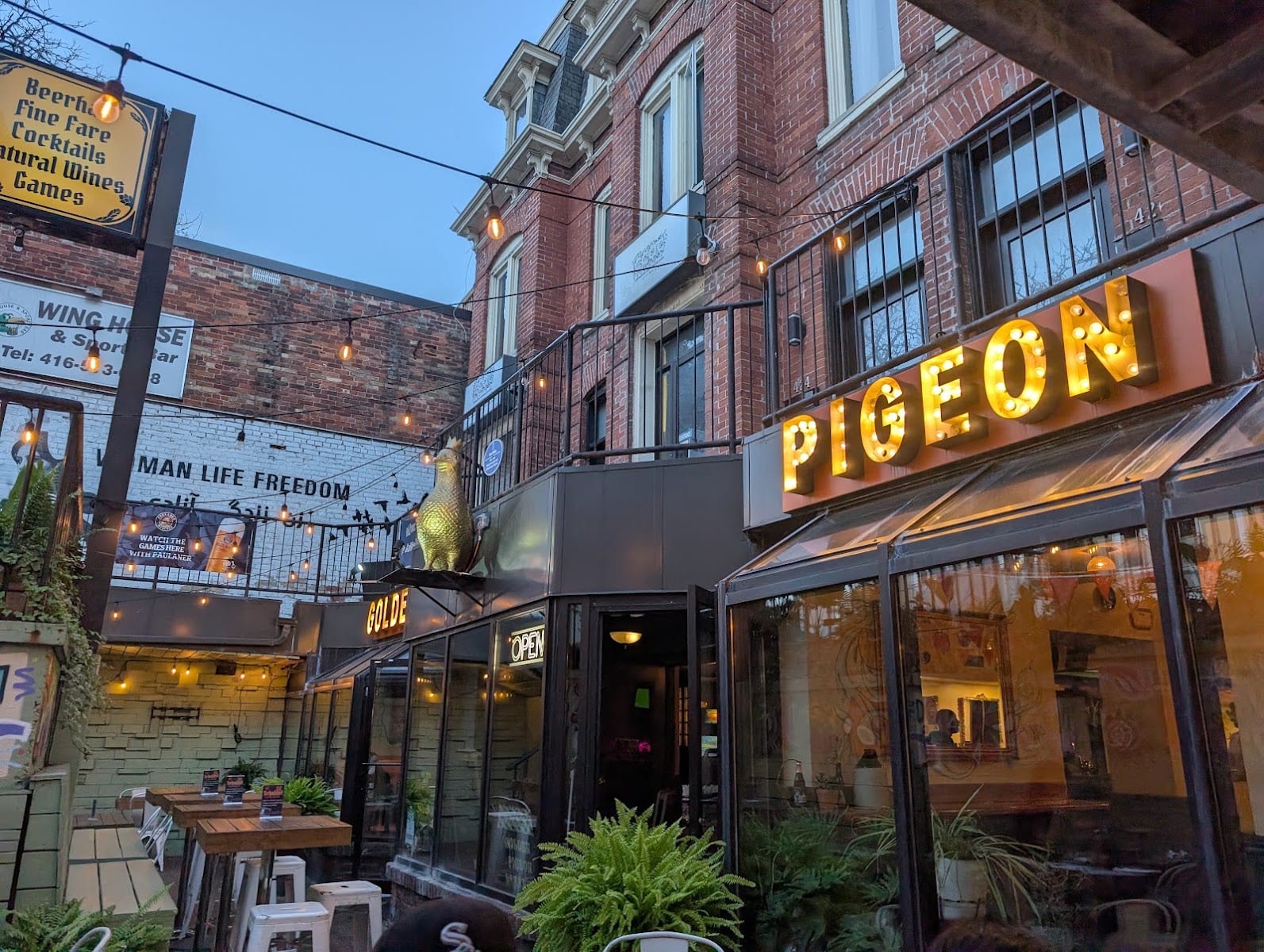 The Golden Pigeon Beerhall