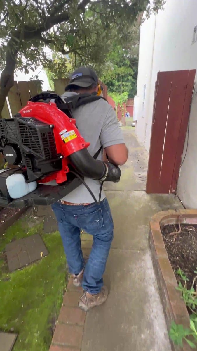 Verde Gardening service, photo 3
