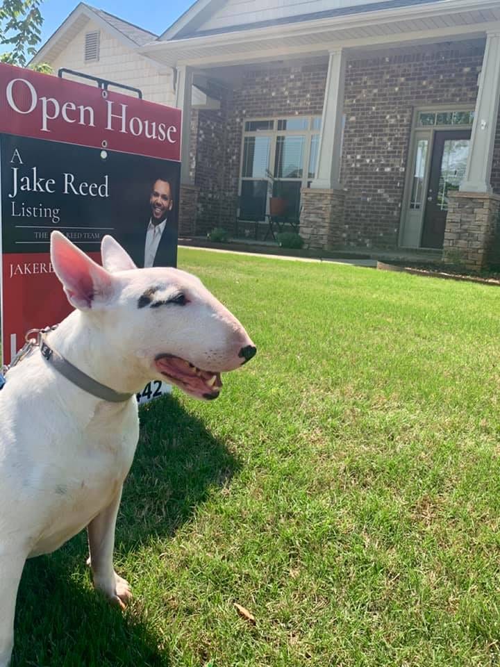 Jake Reed, Realtor, photo 2