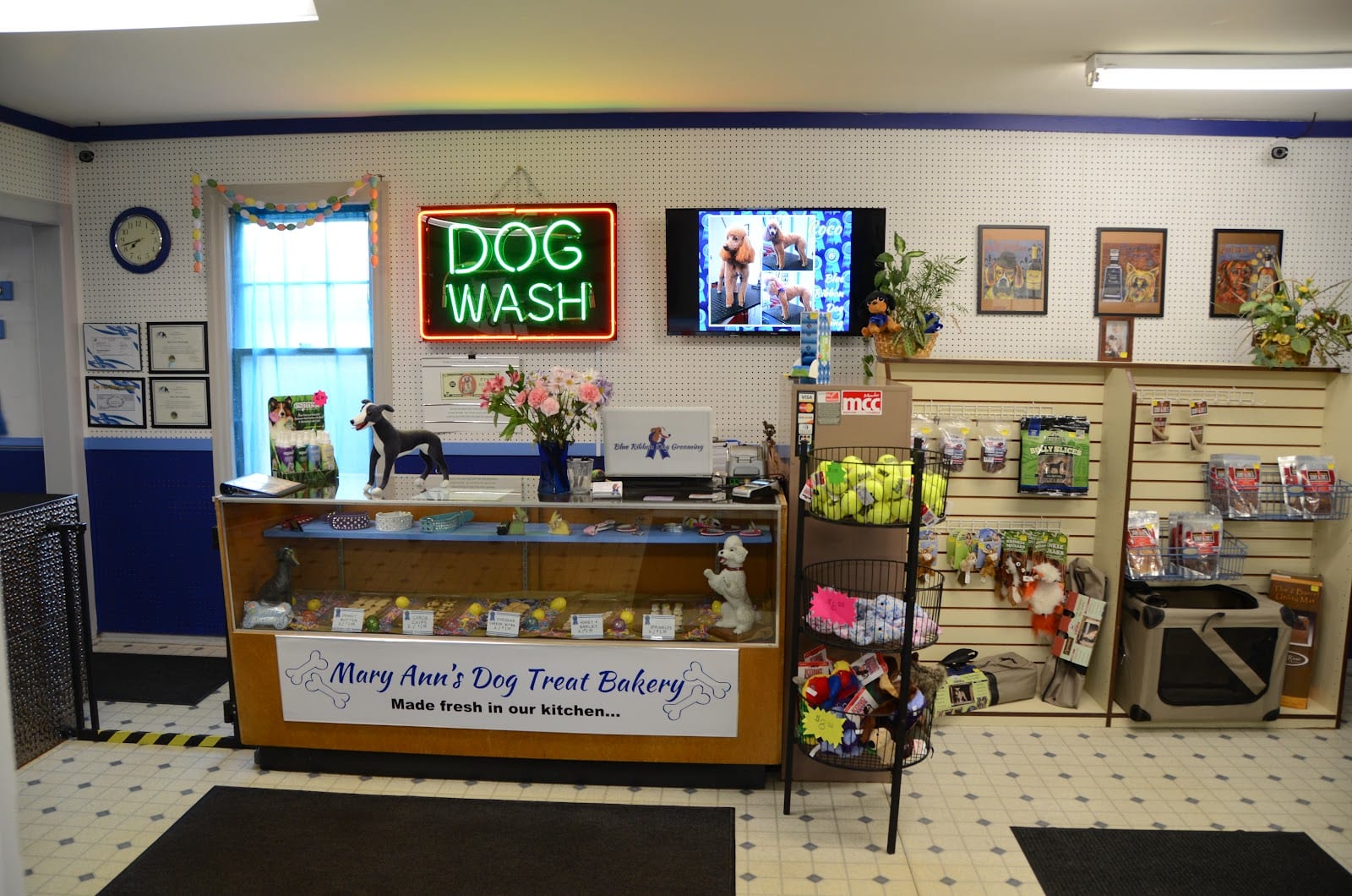 Blue Ribbon Dog Grooming LLC Anderson, photo 4