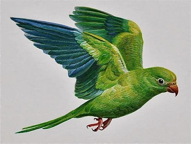 Online Art Consignment Gallery