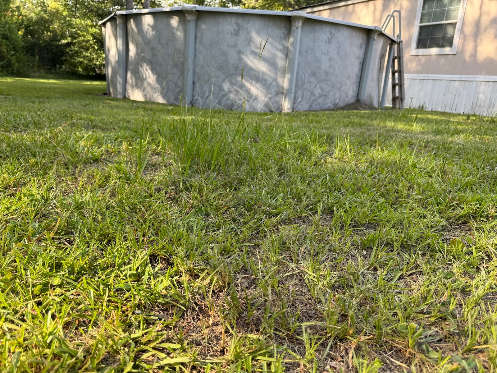 Gators lawn service, photo 2