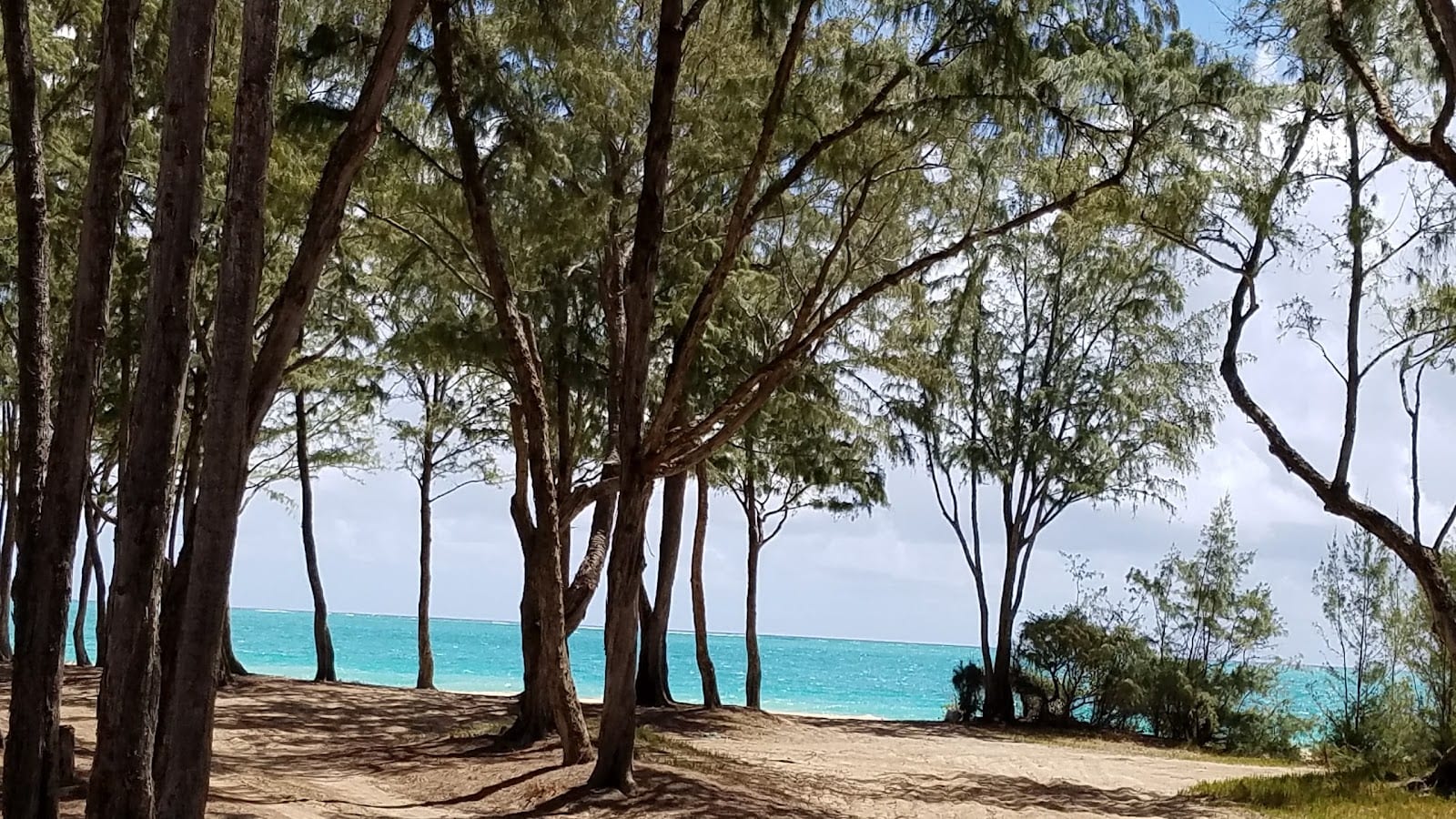 Bellows Field Beach Park