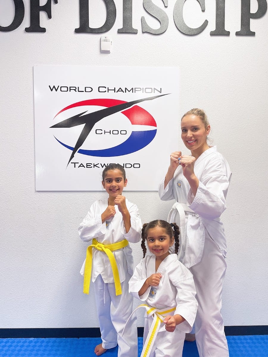 World Champion TaeKwonDo, photo 2