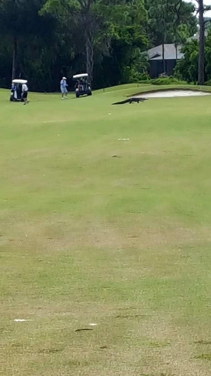 The Pine Valley Golf Course
