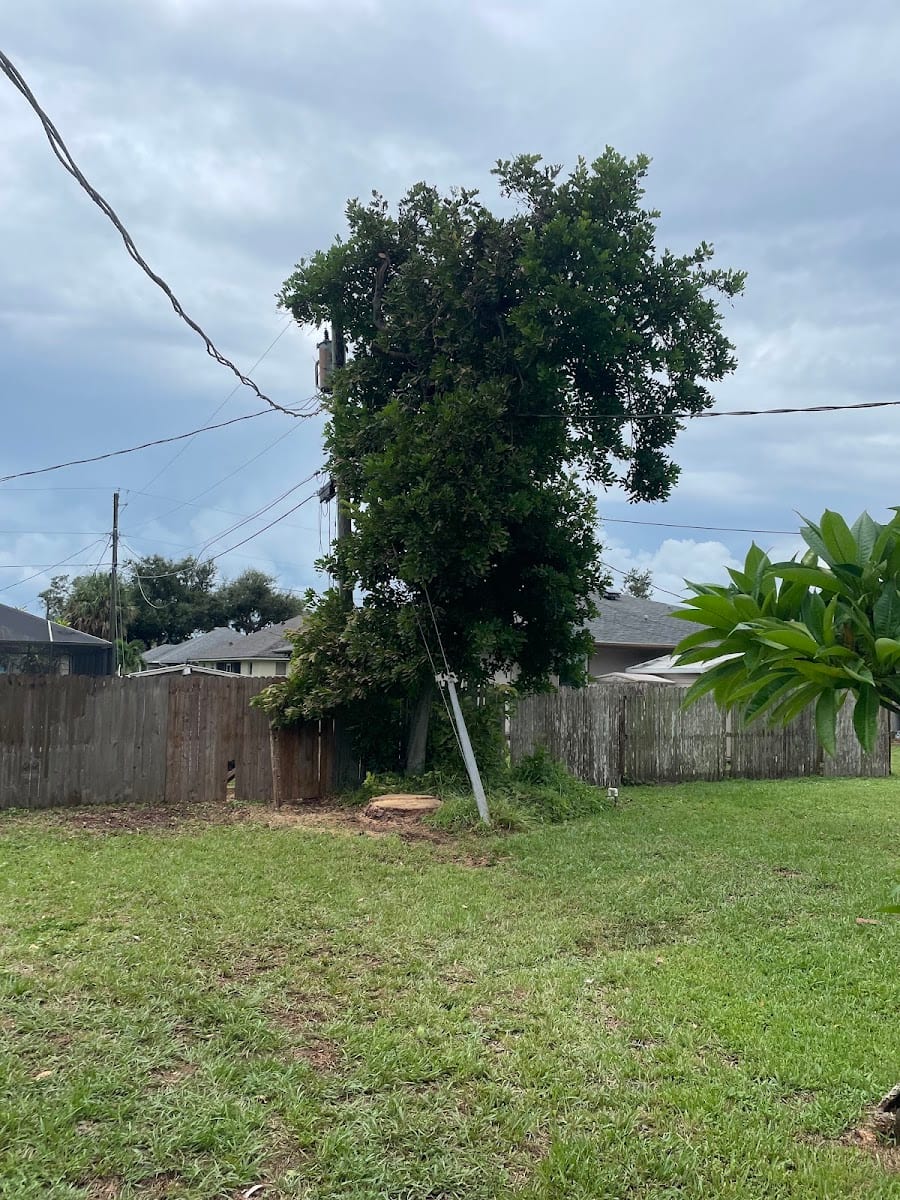 Paradise Lawn And Tree Service, Inc, photo 3