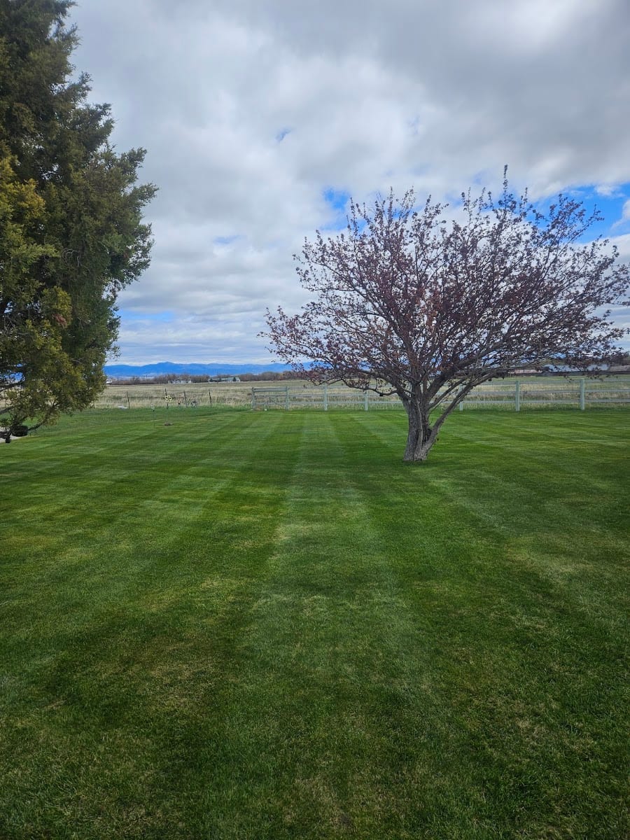 Rocky Mountain Mowing, photo 2