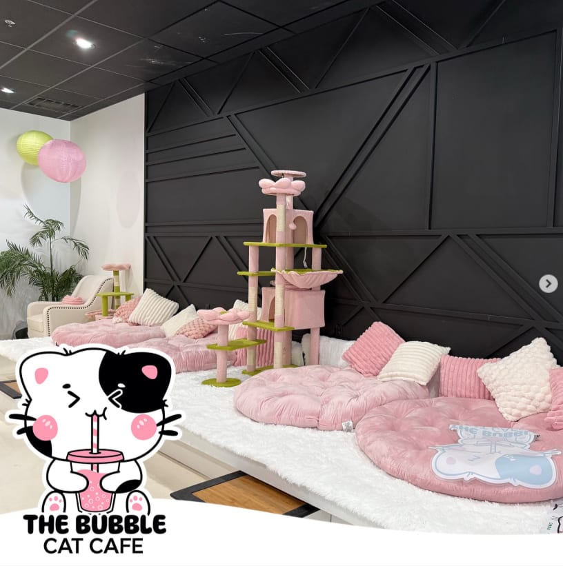 The Bubble Cat Cafe, photo 3