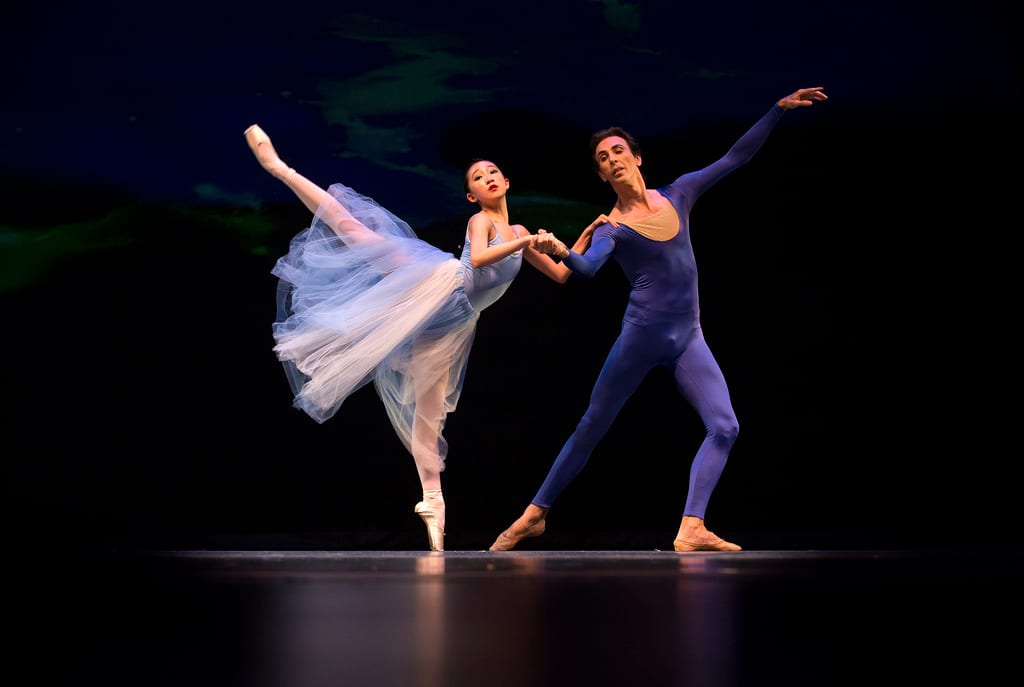 Atlanta Professional Dance Academy, photo 2