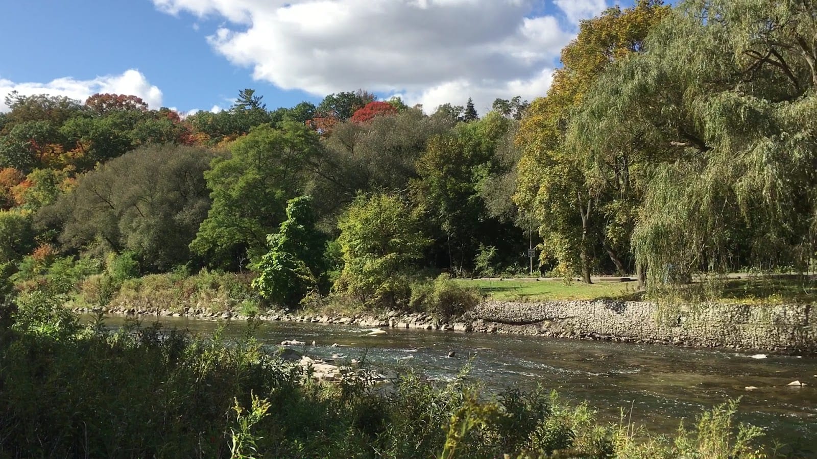King's Mill Park, photo 2