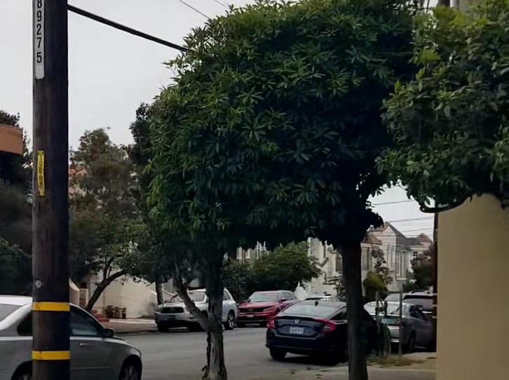 Lee and Jang Orthodontics: San Francisco Location