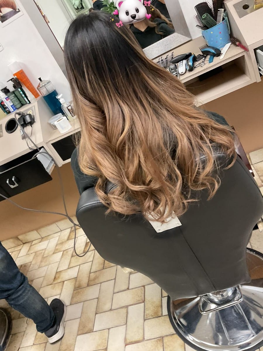 The Hair Star, photo 3