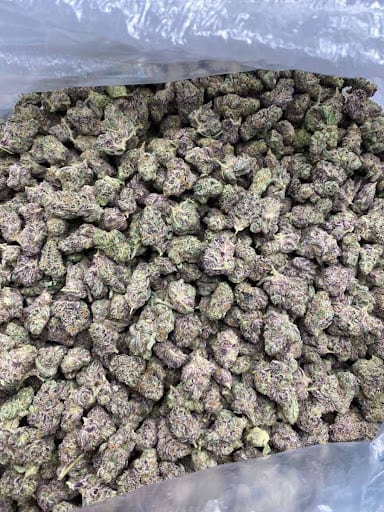 Canabisplug420, photo 2