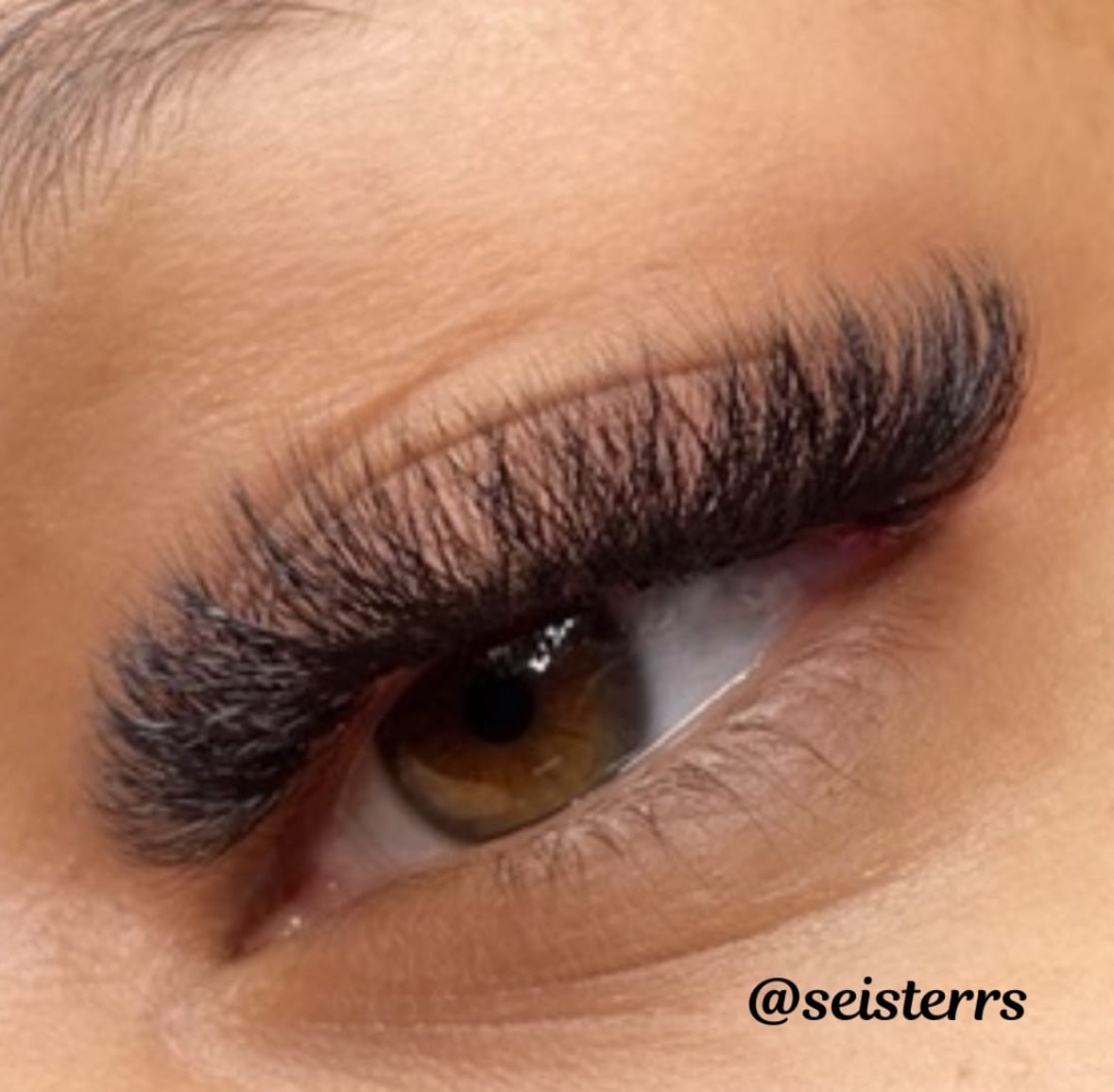 Seisterrs Beauty, photo 3