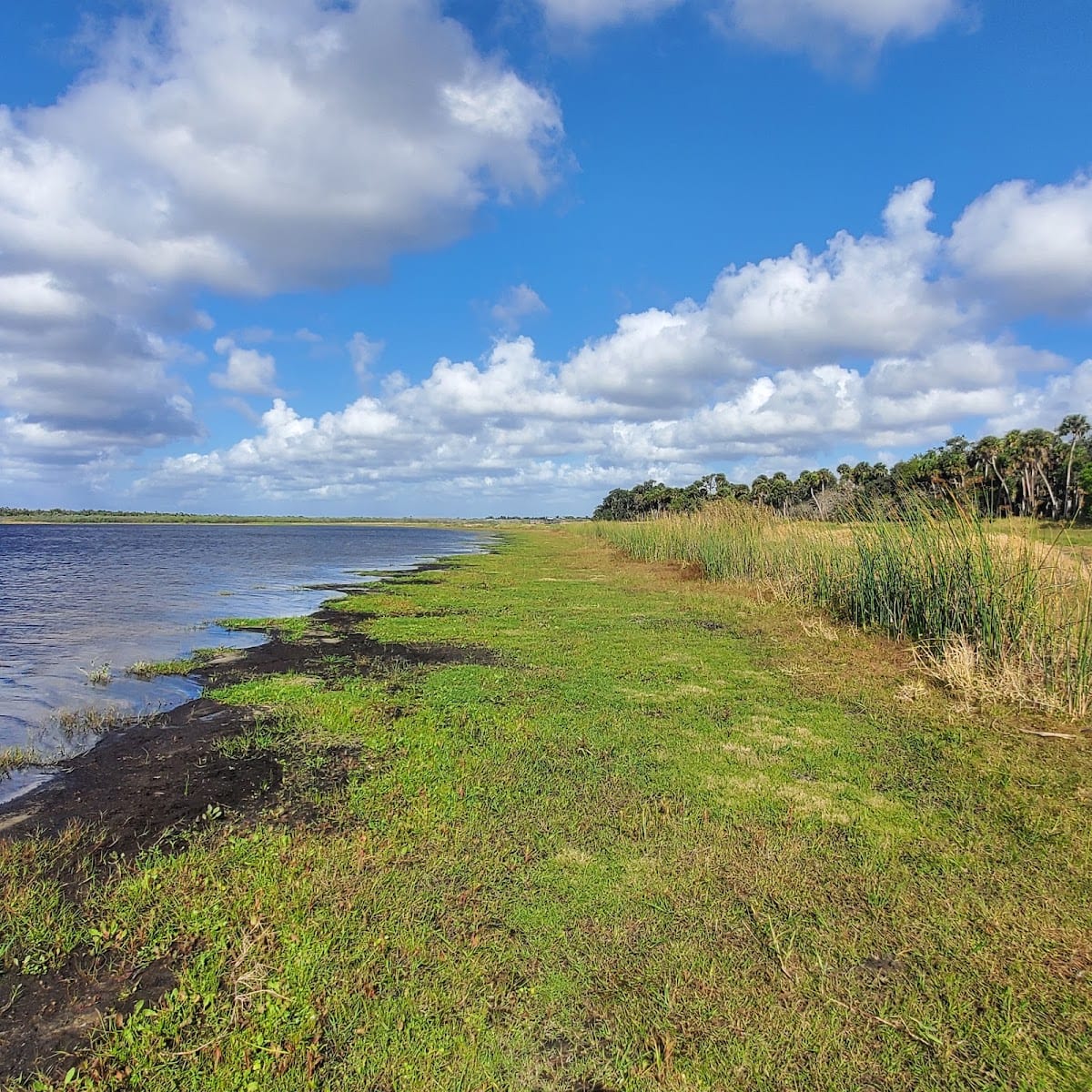 Myakka River State Park North Entrance