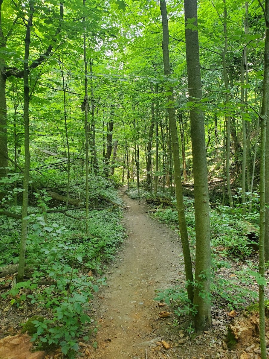Addington Greenbelt, photo 3