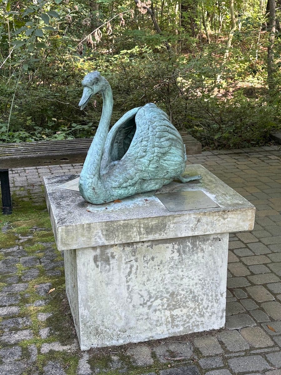 Tawes Garden, photo 3