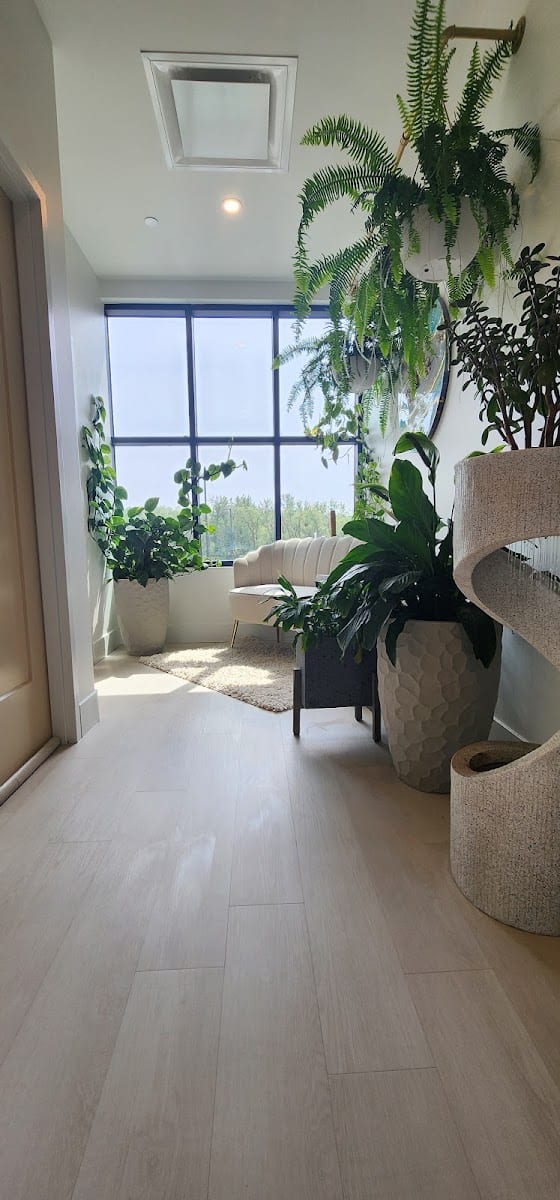 Root 33 Wellness, photo 3