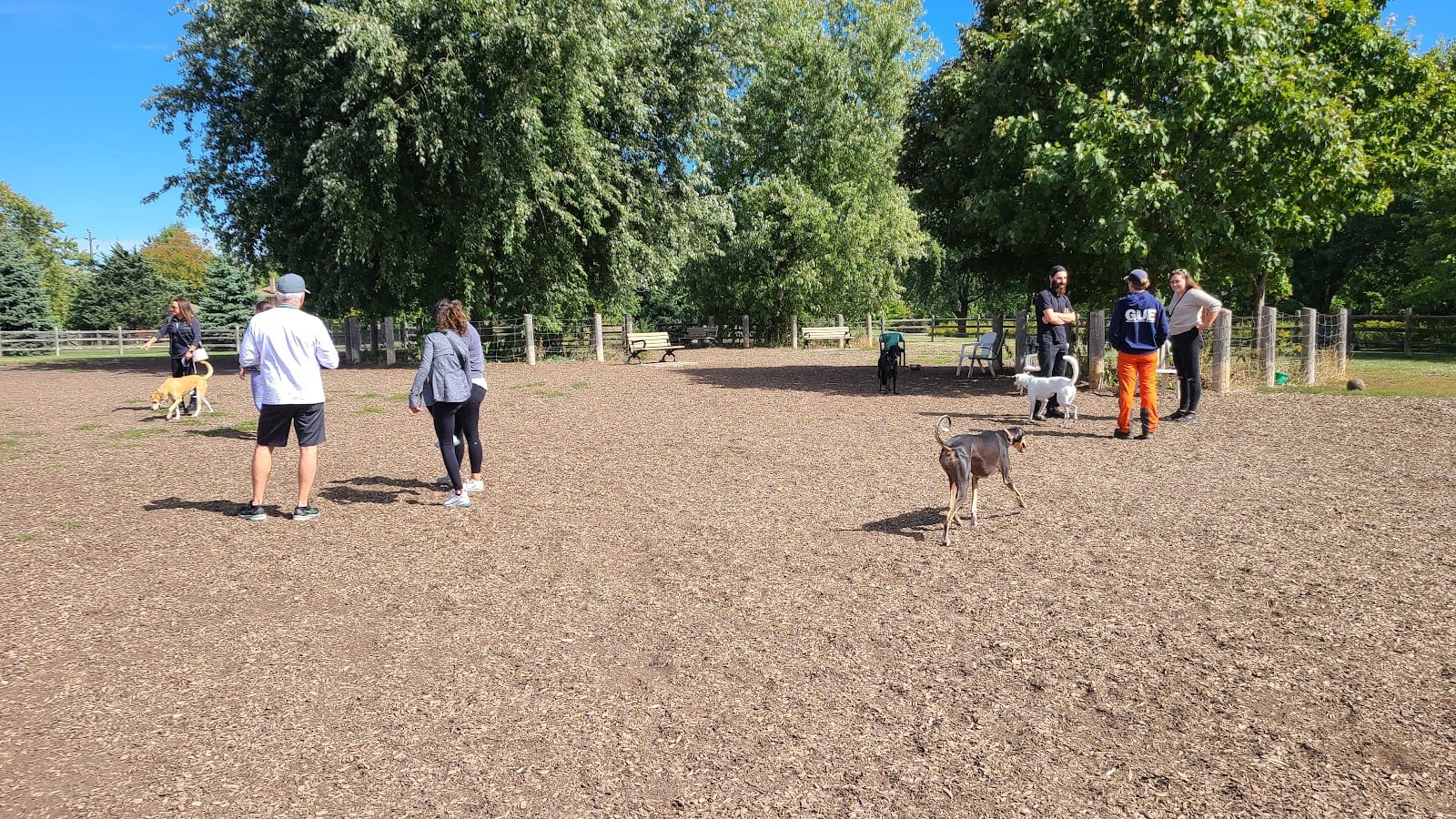 Scarborough Heights Park Off Leash Dog Park
