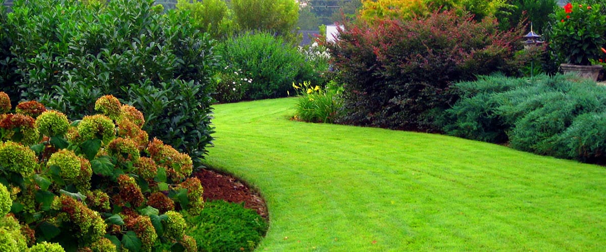 MAC Landscaping Services, photo 2