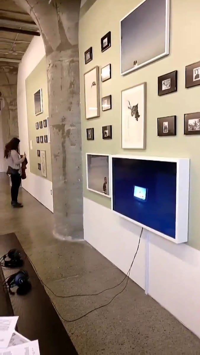 Museum of Contemporary Art Toronto Canada, photo 3
