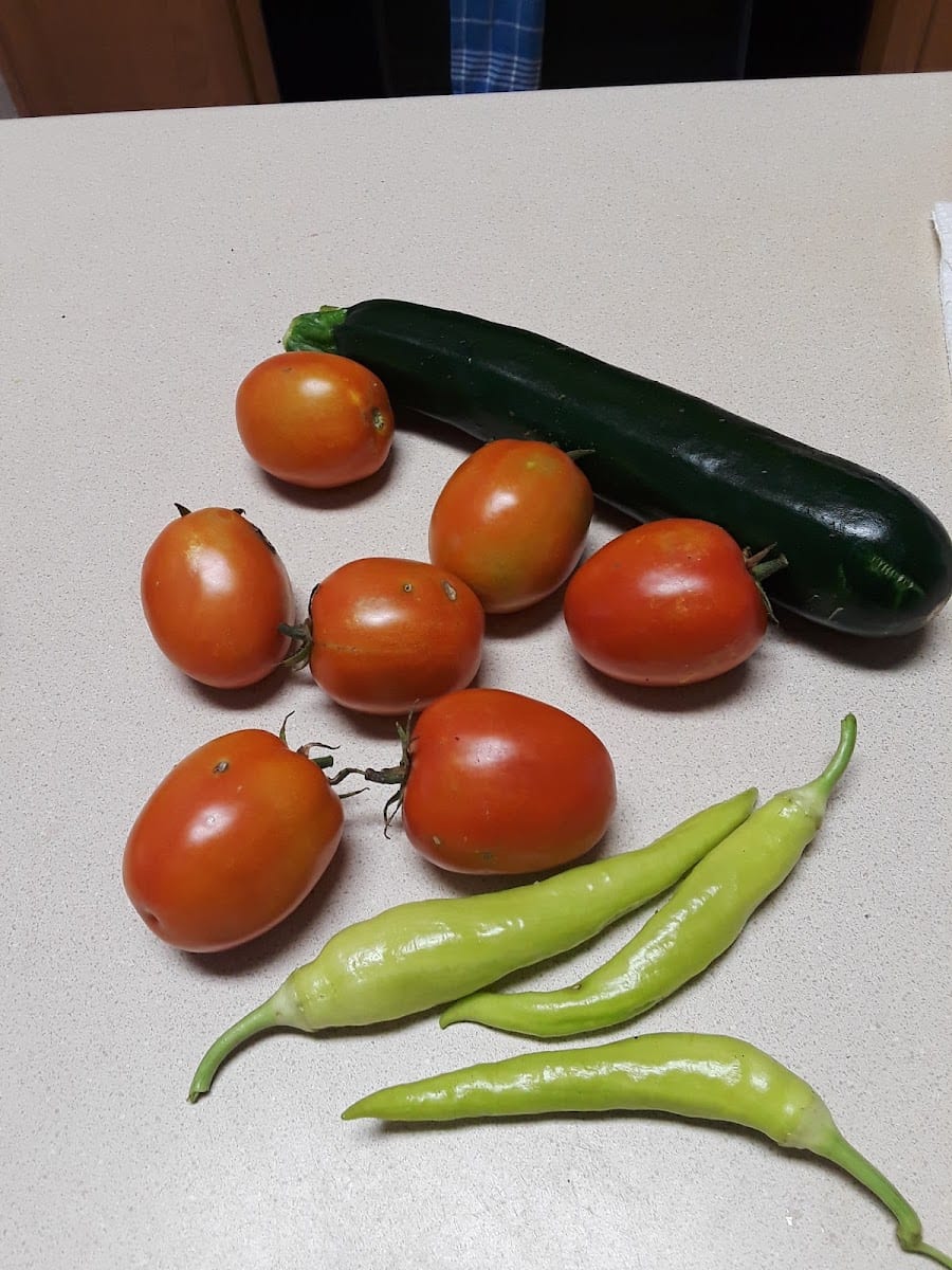 Unity Park Community Garden