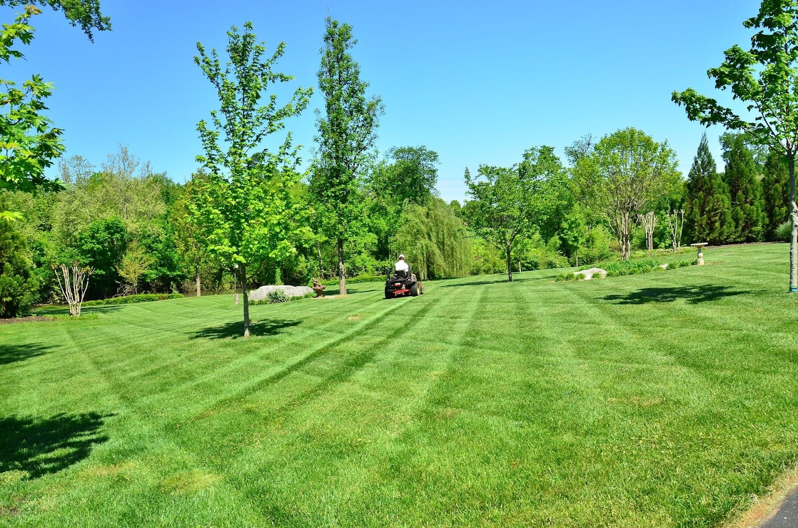 Quick Commercial Landscape Solutions, photo 2