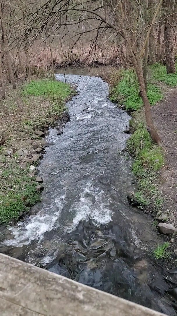 Excelsior Park Spring Run Trail, photo 3