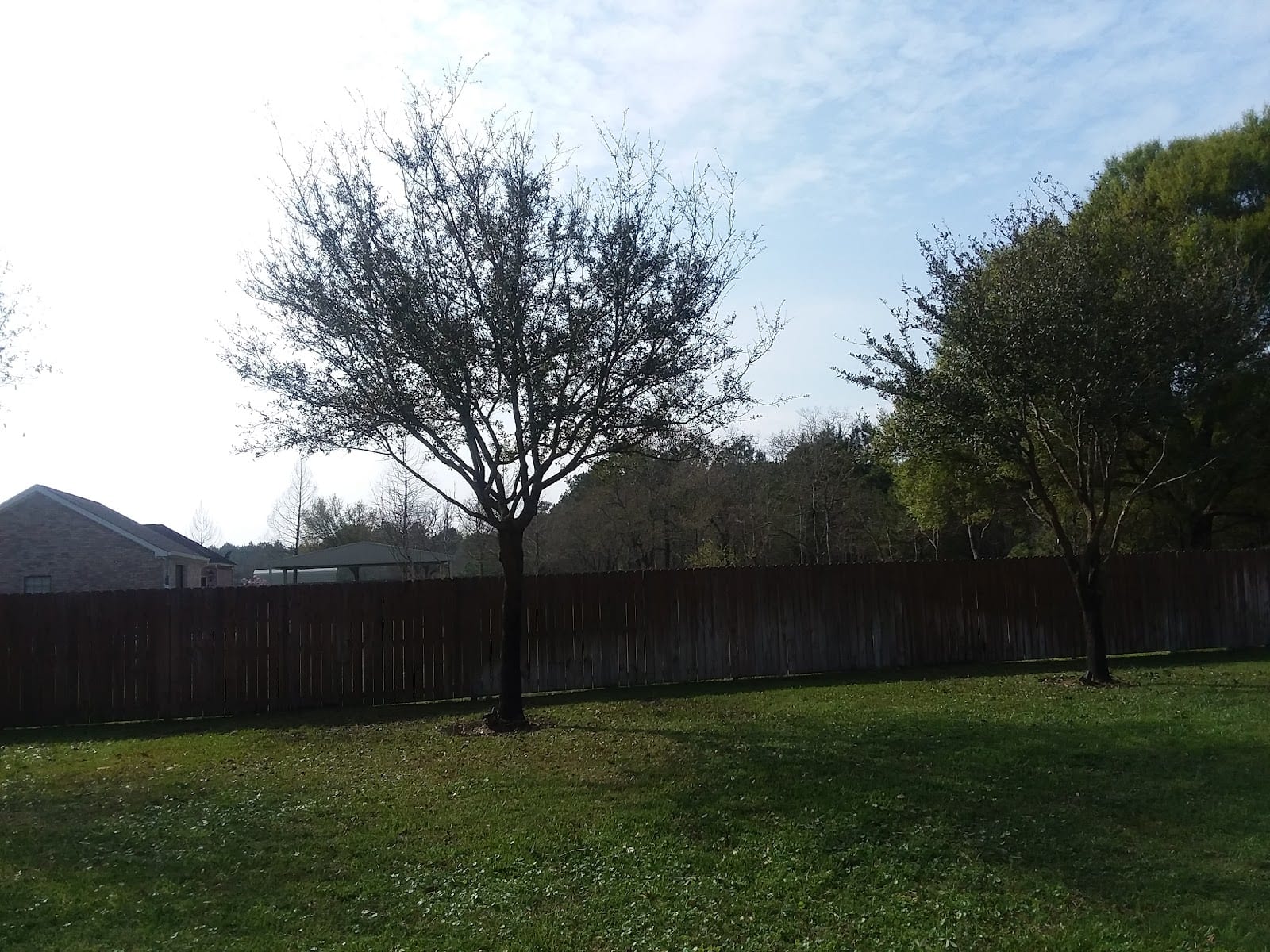Secure Choice Tree Service of Beaumont Texas, photo 4