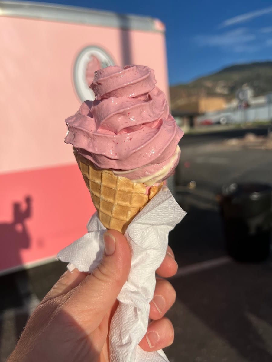 ChillBerry Real Fruit Ice Cream