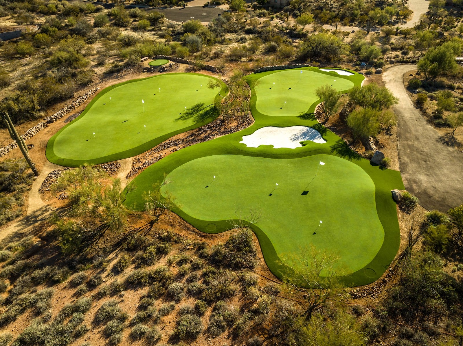 Celebrity Greens Phoenix, photo 4