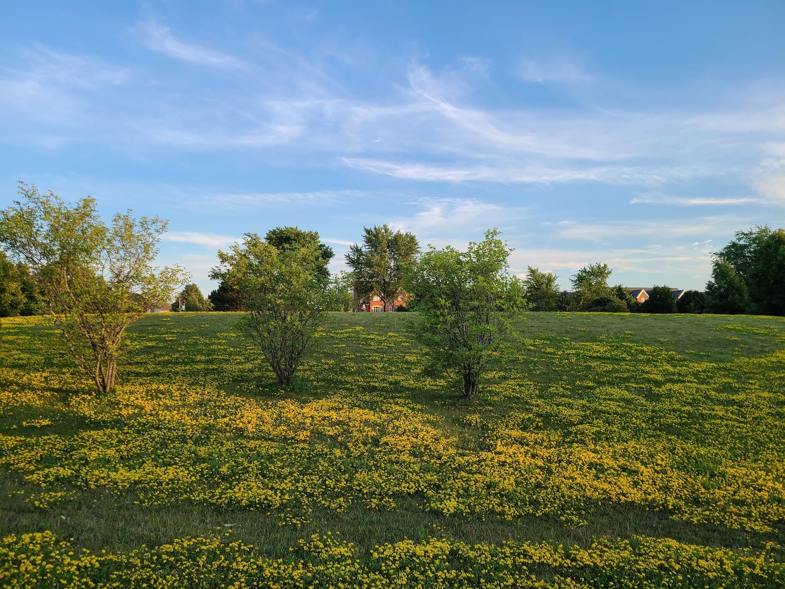 Russell Farm Park