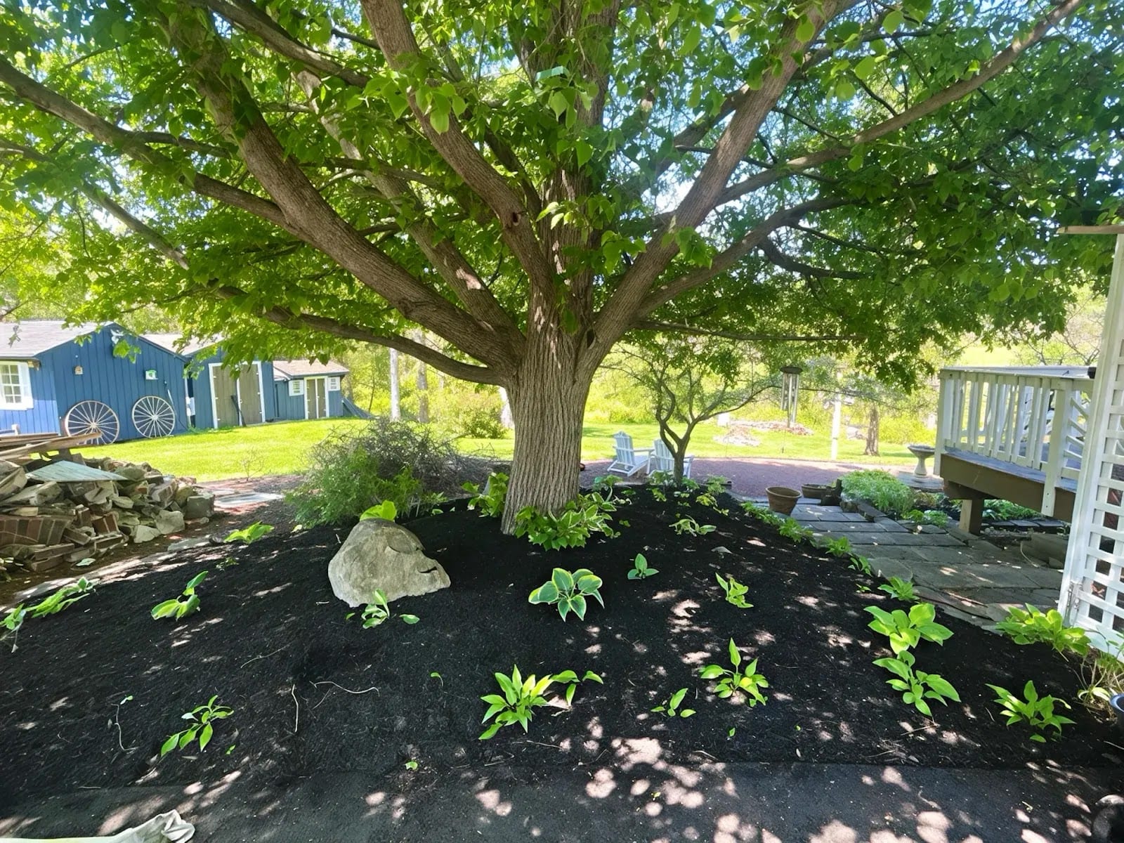 Varsity Mulching, photo 2