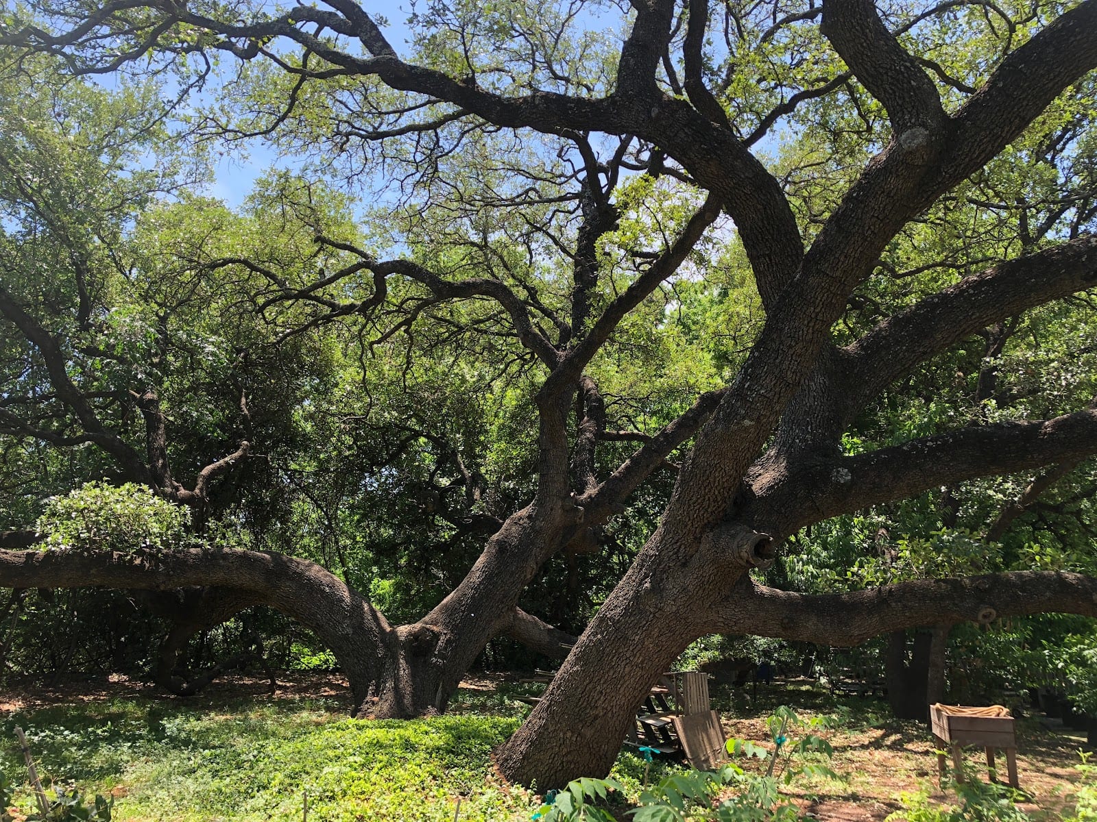Be-Green, photo 2
