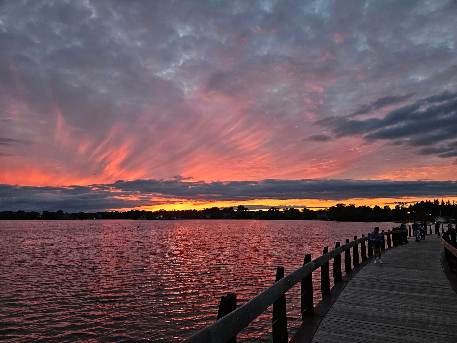 Lake Wilcox Park, photo 3