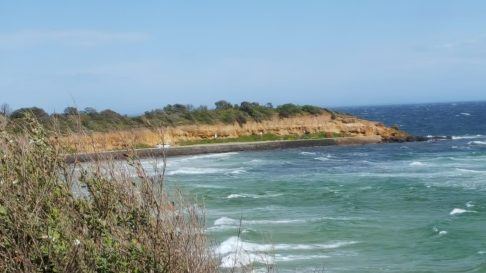 Pine Avenue Reserve, photo 3