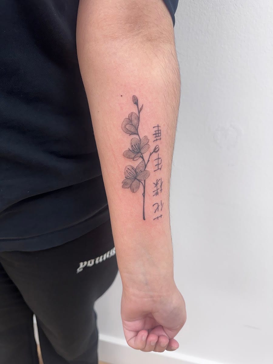 Dalinha Beauty Studio